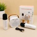 Portable Karaoke Speaker P2
